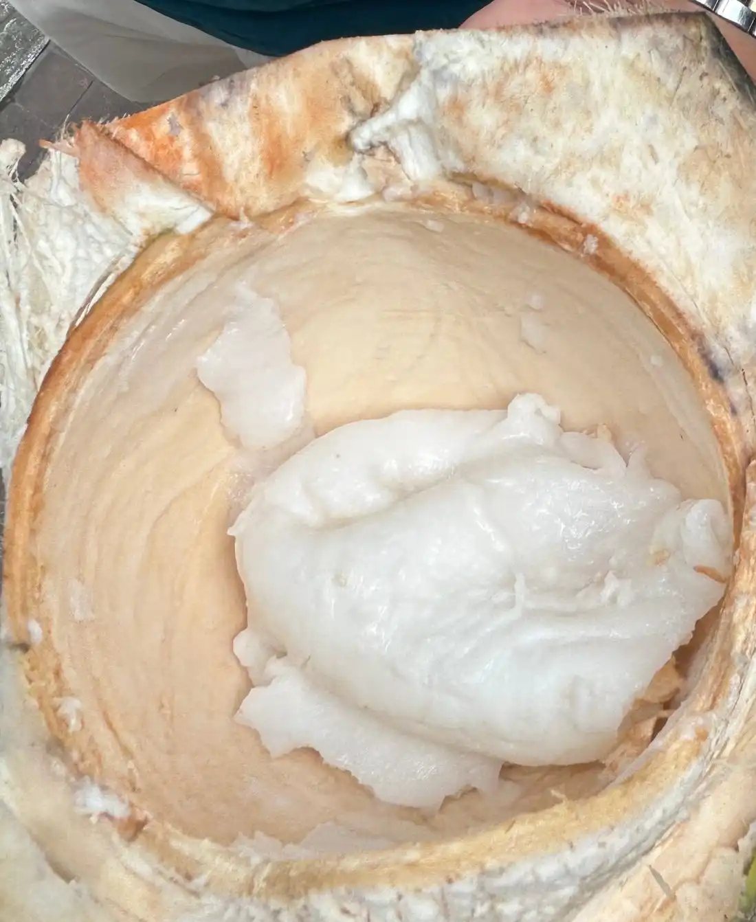 A split coconut showing thick white flesh inside the husk