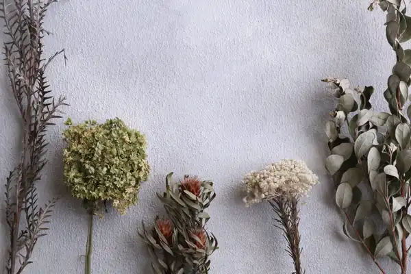 Dried stems, seed heads and eucalyptus sprigs laid out in a row on a white surface