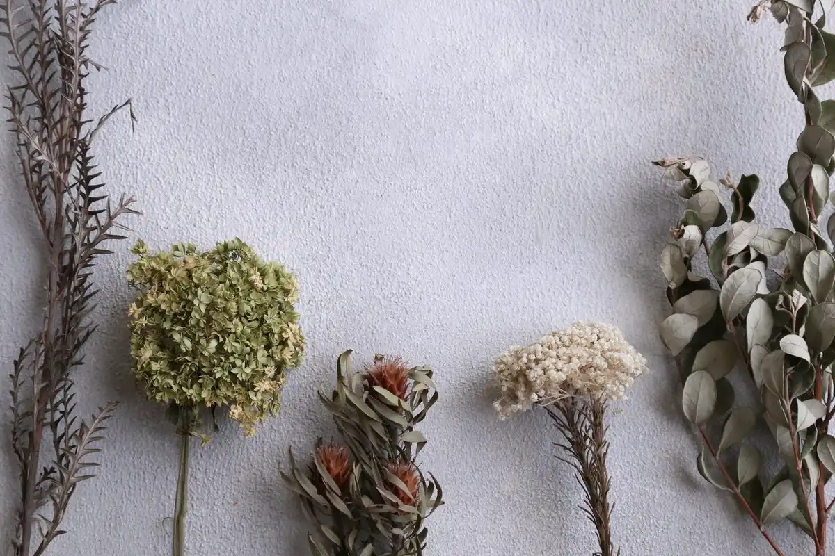 Dried stems, seed heads and eucalyptus sprigs laid out in a row on a white surface