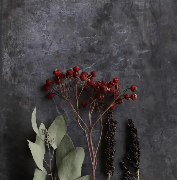 Dried red berries, eucalyptus and seed heads on a dark grey surface