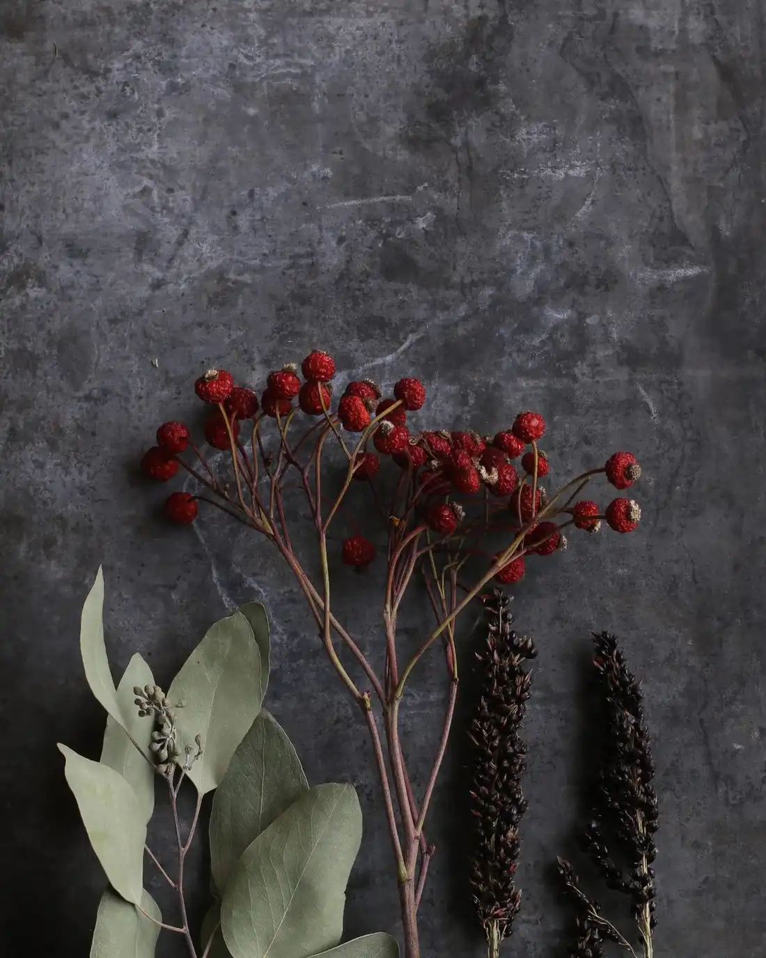 Dried red berries, eucalyptus and seed heads on a dark grey surface
