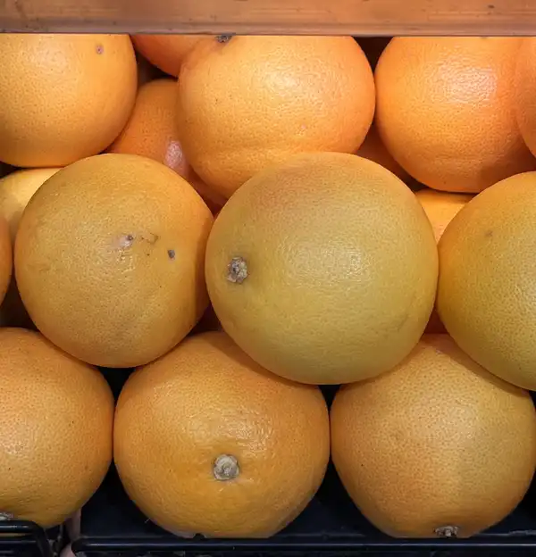 Rows of yellow-orange grapefruits stacked in a market crate