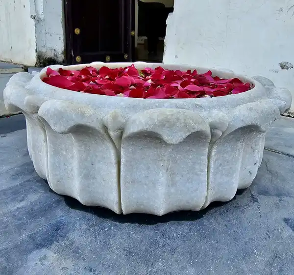 A carved white stone basin filled with red rose petals